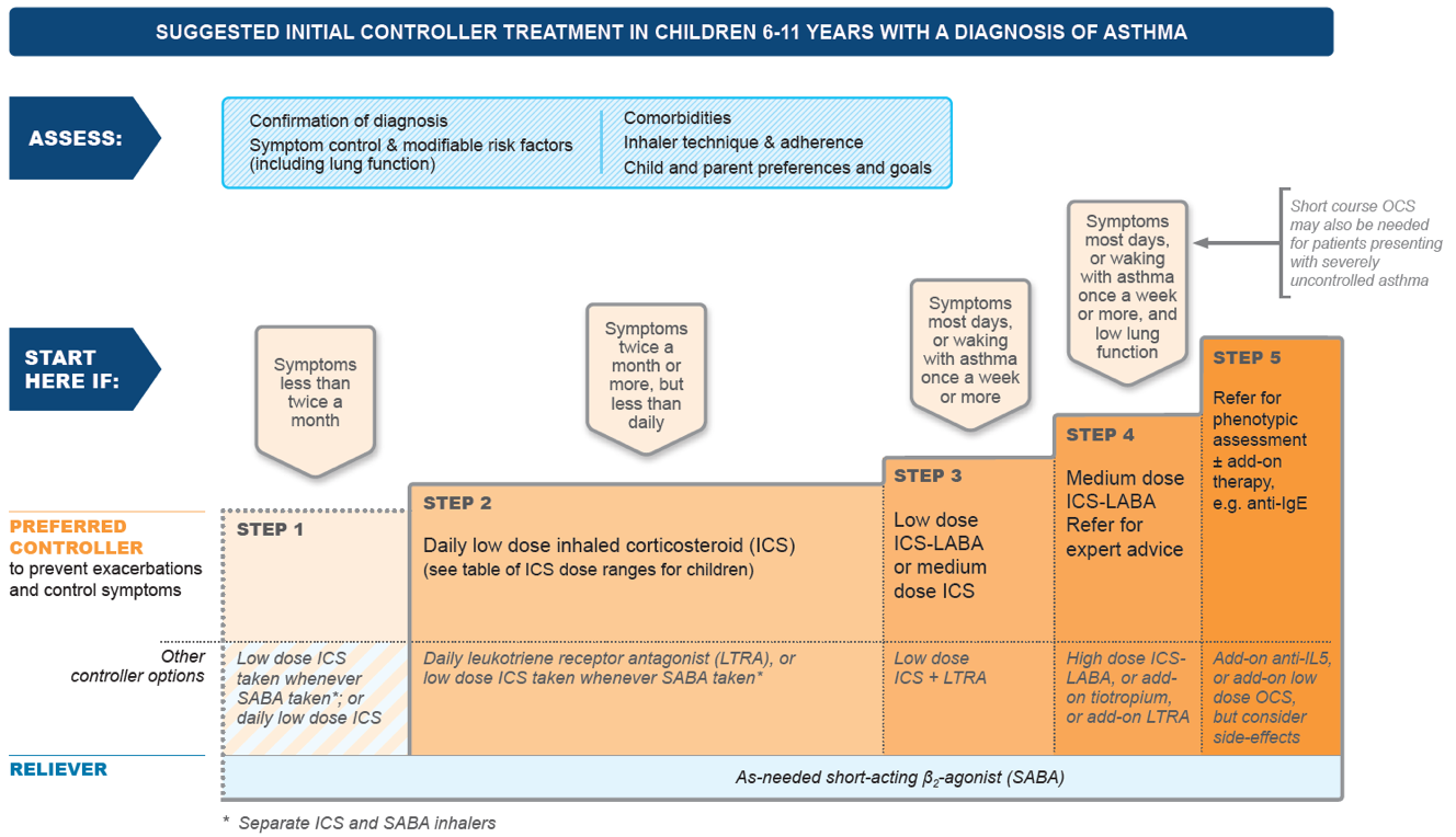 壹生资讯重磅！2020版GINA哮喘报告发布！更新要点一览（附报告全文）