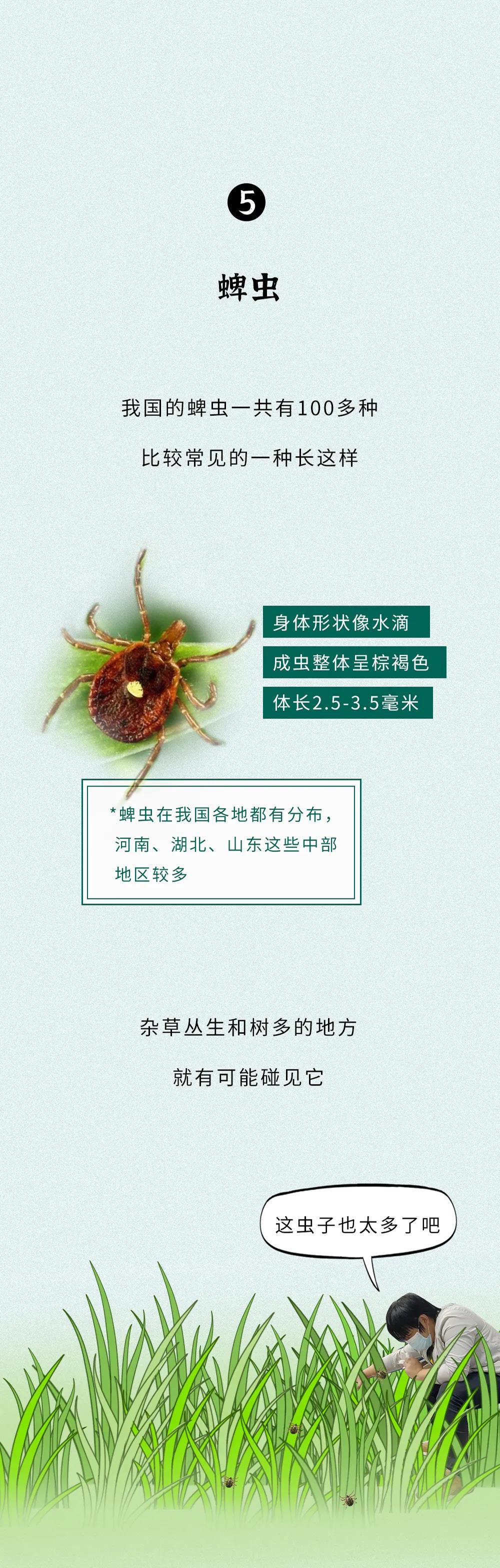 微信图片_20200531101417.jpg