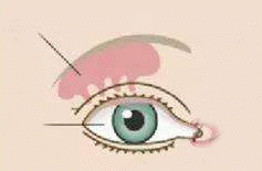 微信图片_20200821160406.gif