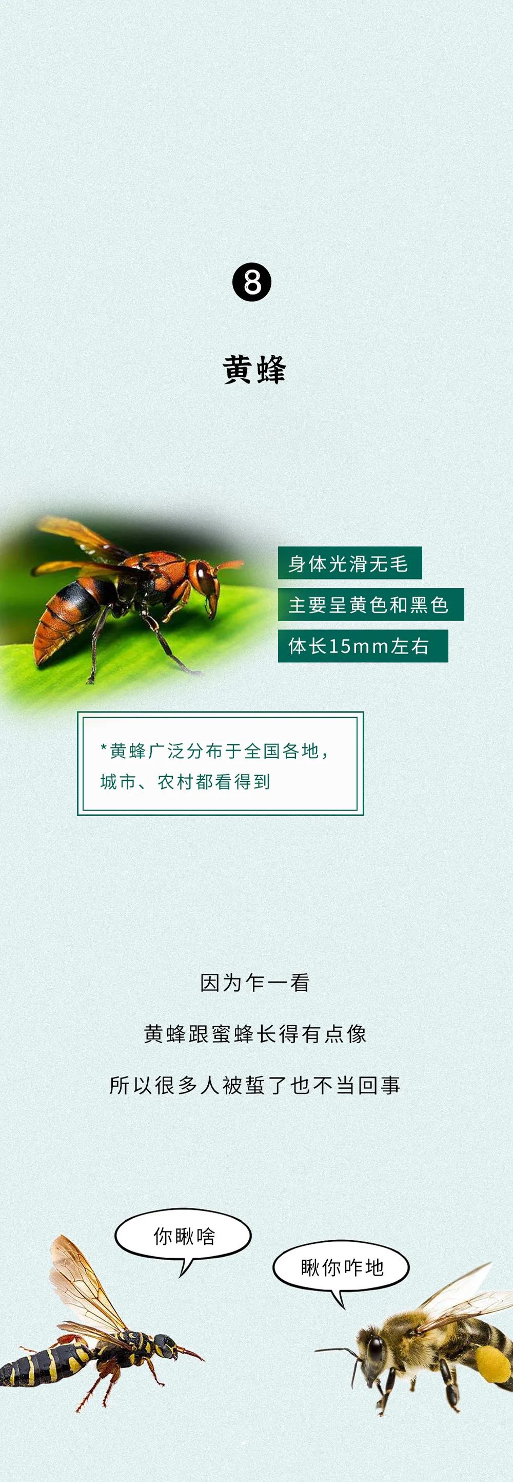 微信图片_20200531101703.jpg