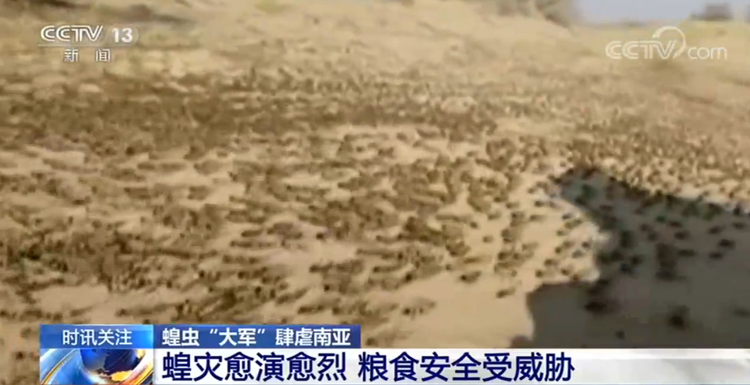 微信图片_20200609102339.png