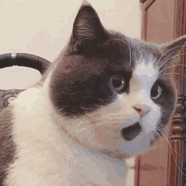 微信图片_20200709153742.gif