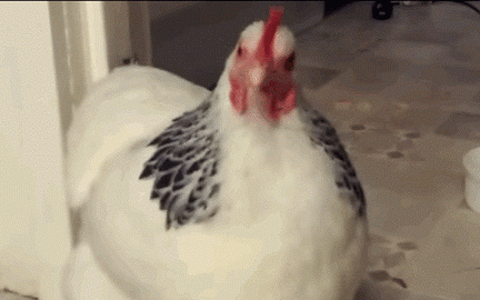 微信图片_20200612112531.gif