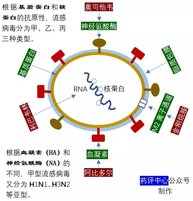 640.webp (2).jpg