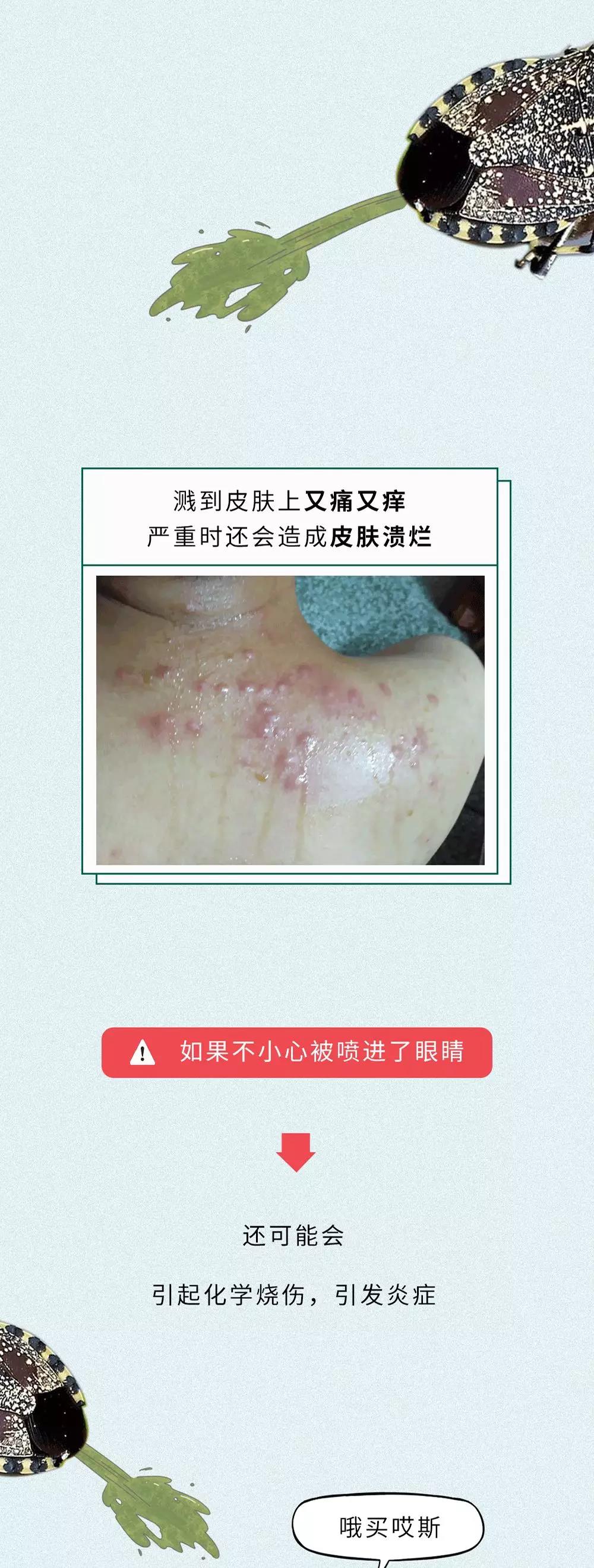微信图片_20200531101348.jpg