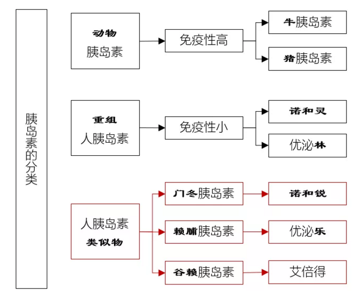 ②長效胰島素類似物:甘精胰島素(來得時),地特胰島素(諾和平),德谷