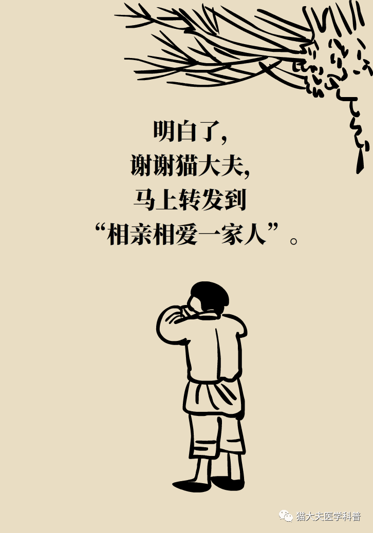33.png
