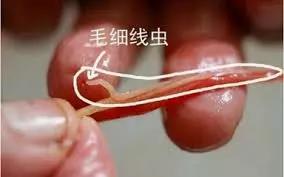 微信图片_20200722144753.jpg