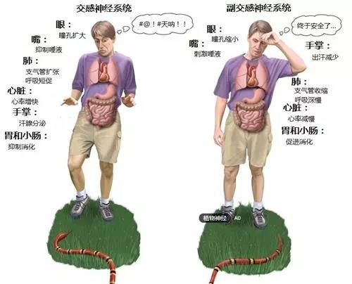 微信图片_20200525114111.jpg