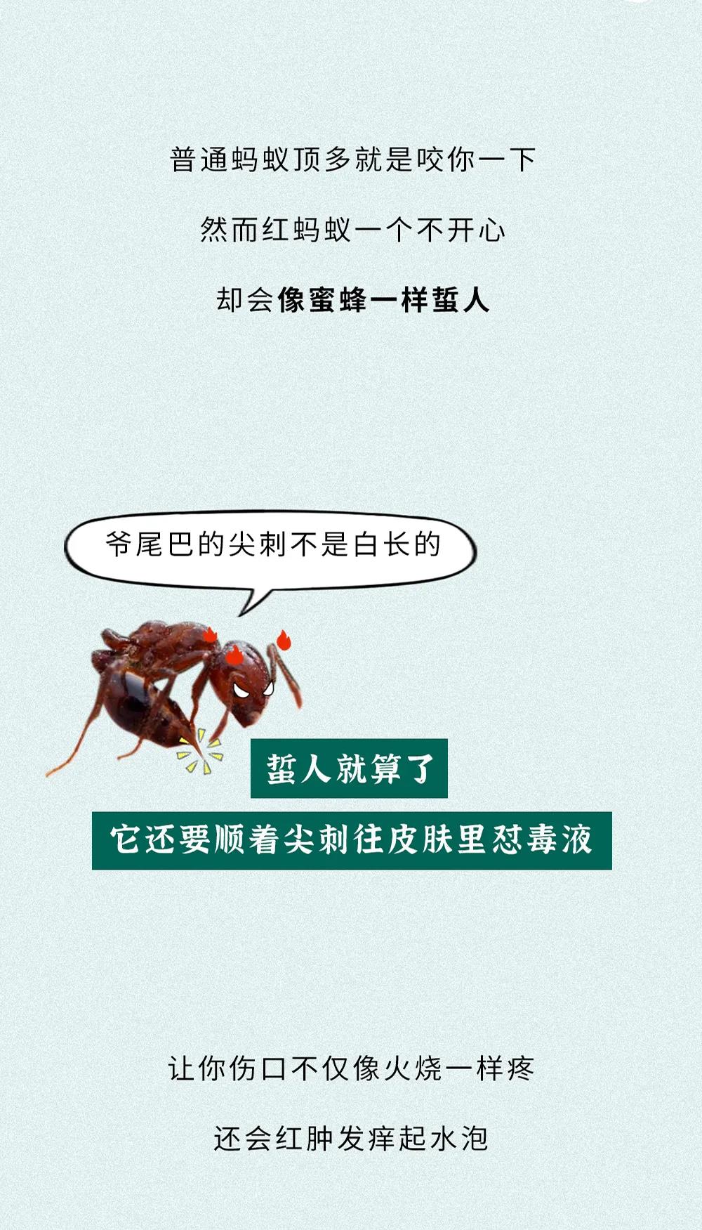 微信图片_20200531101255.jpg