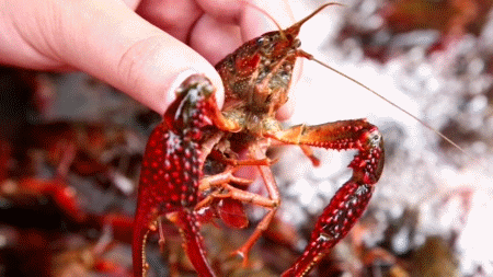 微信图片_20200709154317.gif