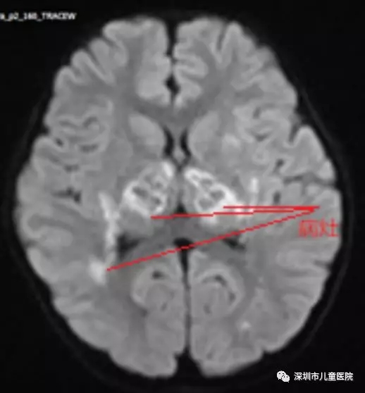 640.webp (1).jpg