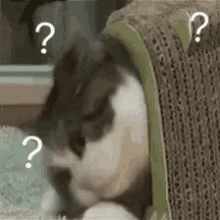 微信图片_20200609100508.gif