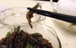 4.gif