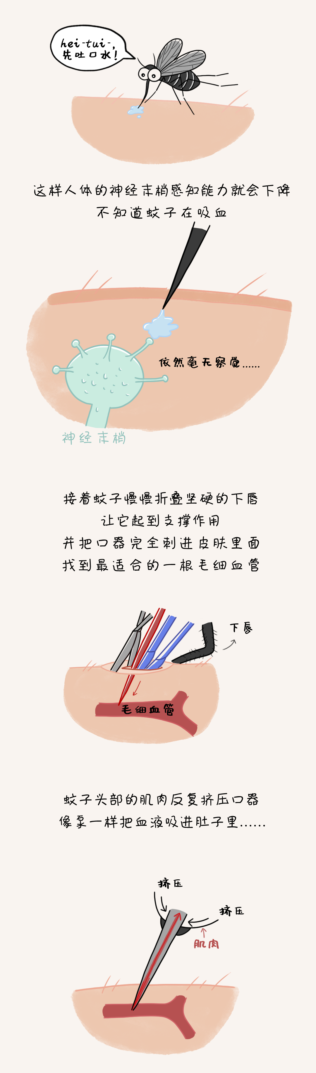 微信图片_20200820131427.png