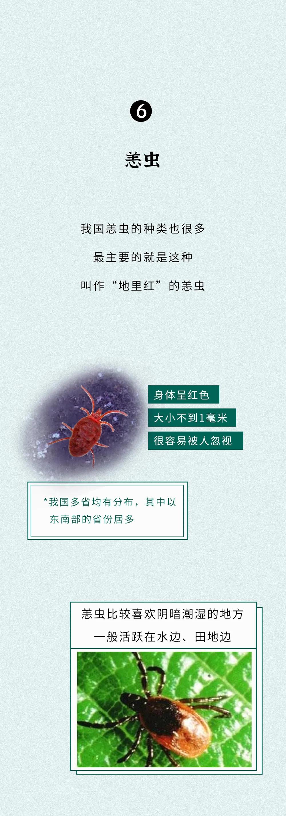 微信图片_20200531101525.jpg