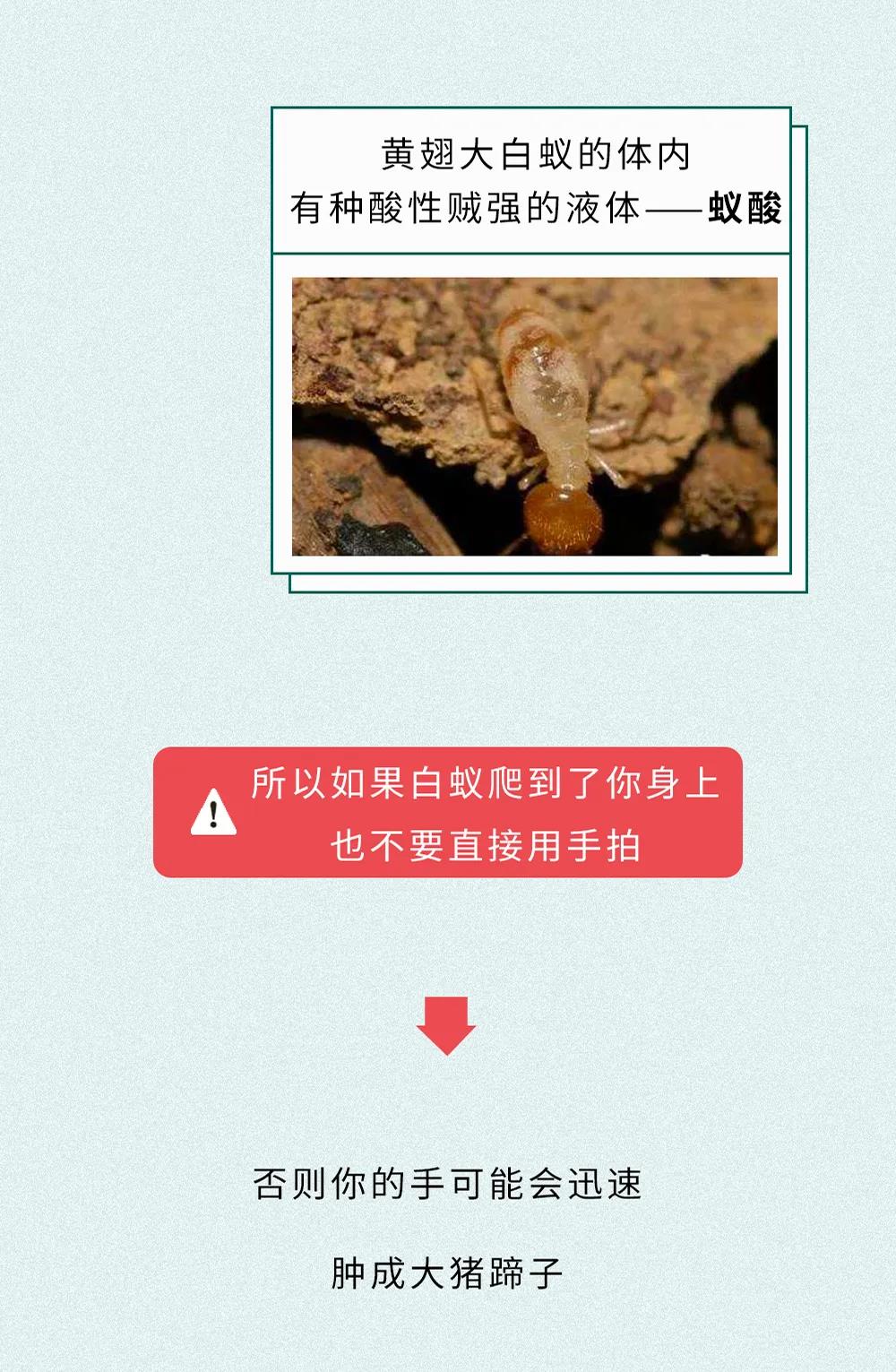 微信图片_20200531101206.jpg
