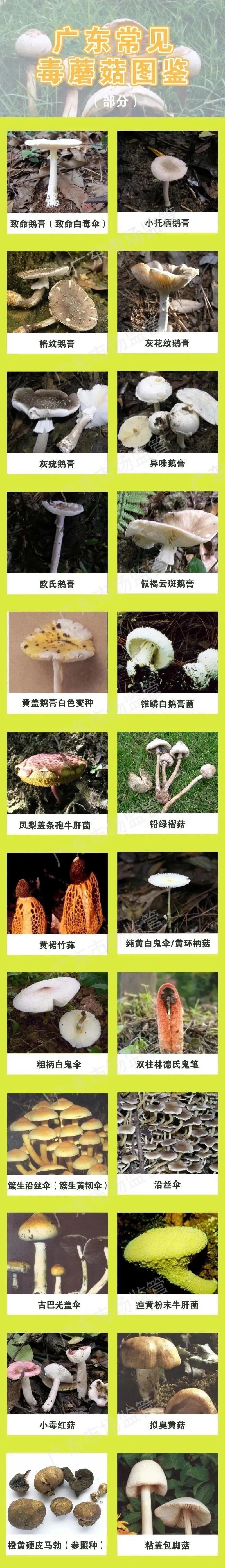 微信图片_20200907155941.jpg
