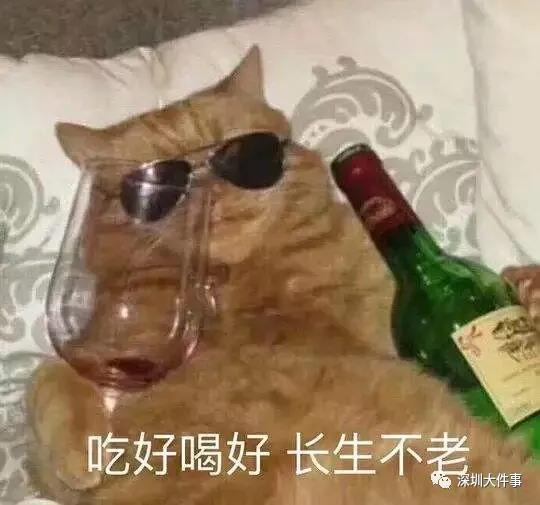 微信图片_20200507104547.jpg