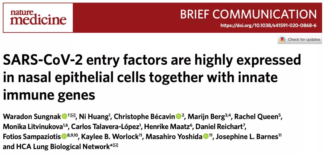 壹生资讯 自然 医学 鼻子或是新冠病毒感染的第一站和病毒库 科学家首次发现 鼻杯状细胞和纤毛细胞能高表达新冠病毒感染所需的两个关键蛋白