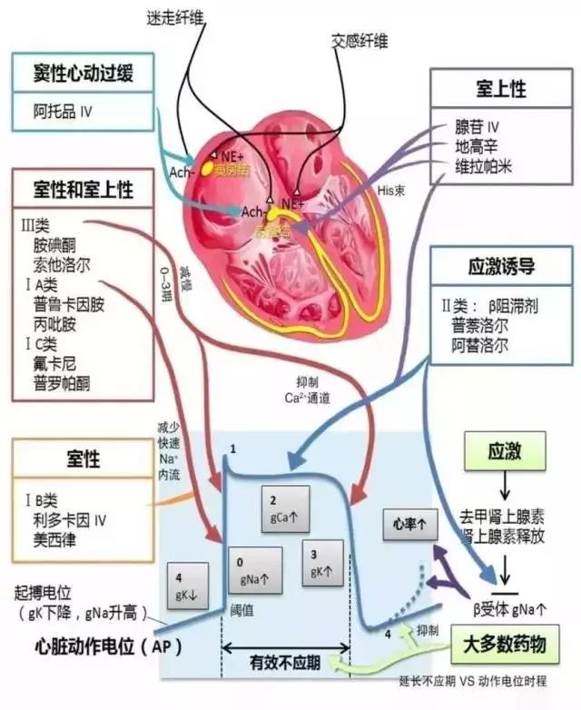 微信图片_20200921160254.jpg