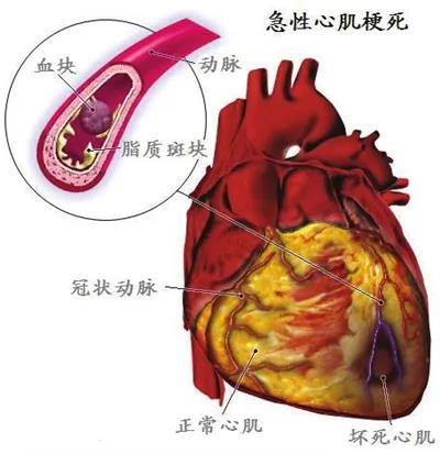 微信图片_20201026153820.jpg