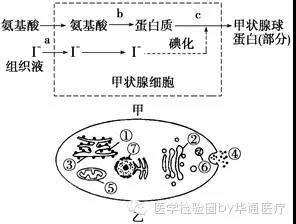 微信图片_20210305110819.jpg