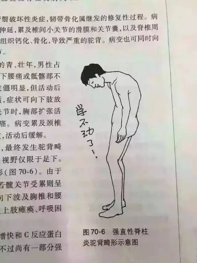 58.jpg