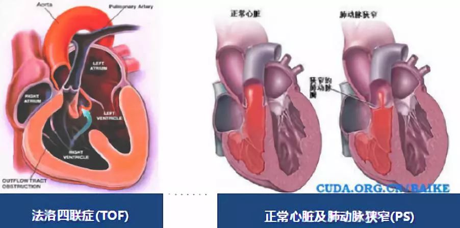 微信图片_20190213111500.jpg
