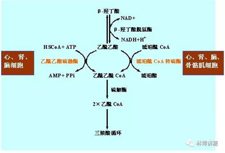微信图片_20210407134704.jpg