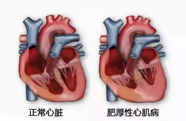 微信截图_20191025095143.png