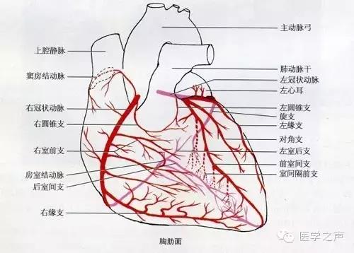微信图片_20201211075322.jpg