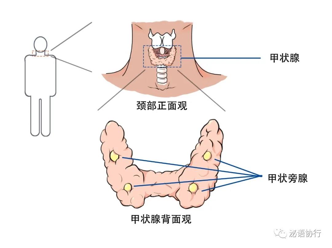 微信图片_20210429140147.jpg
