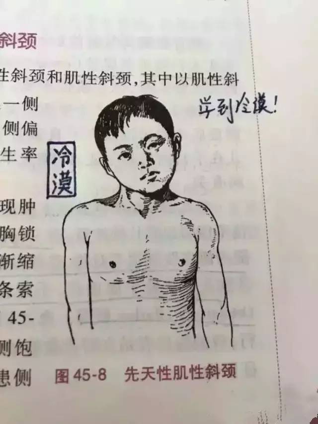 63.jpg