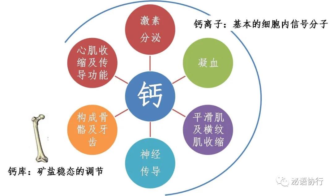 微信图片_20210429140155.jpg