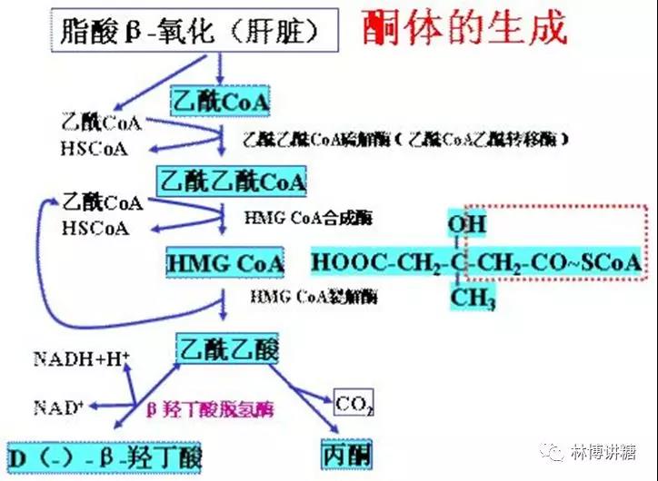 微信图片_20210407134700.jpg