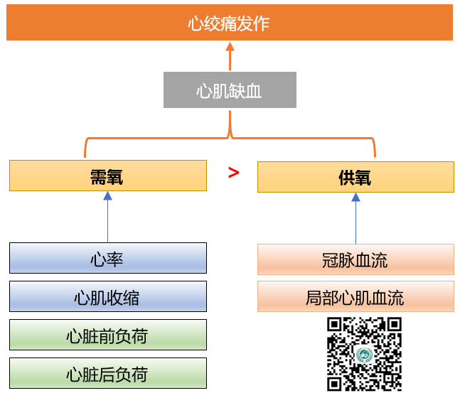 三,抗心絞痛藥物作用機制