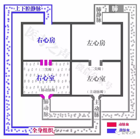 微信截图_20201104122838.png
