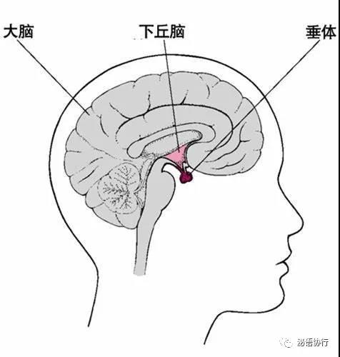 微信图片_20210428155236.jpg