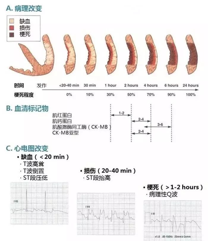 微信图片_20201019092634.jpg