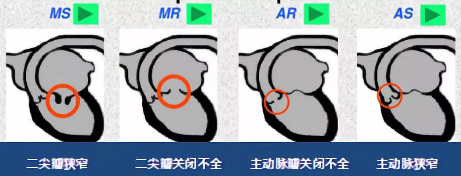 微信图片_20190213111454.jpg