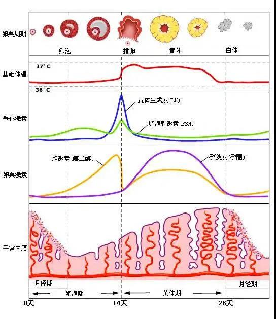 微信图片_20210416135402.jpg