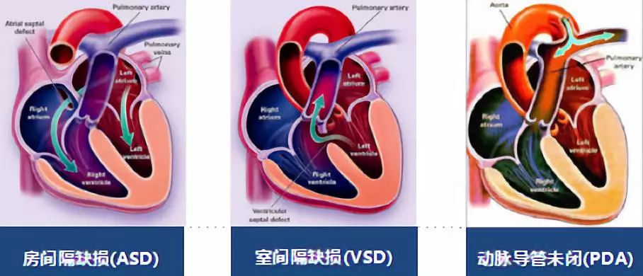 微信图片_20190213111457.jpg