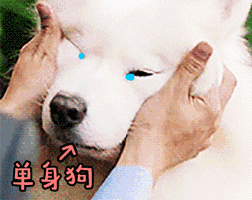 timg (2).gif