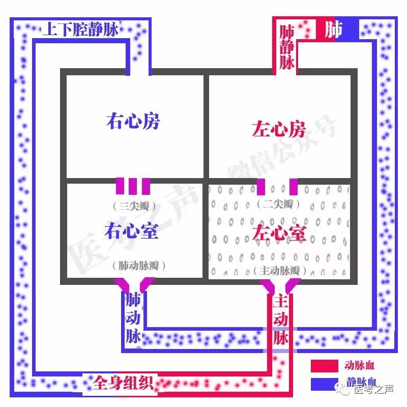 微信图片_20201104122800.jpg