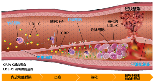 微信图片_20210125094908.png