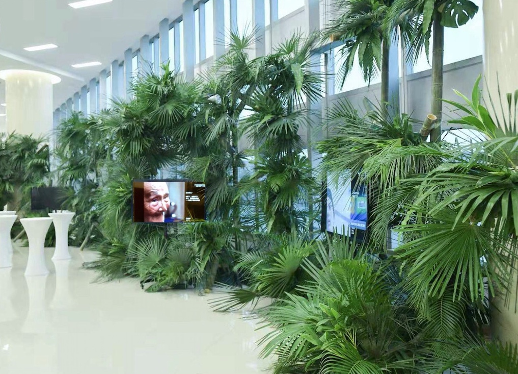 8.绿植与影像结合的艺术行动装置.jpg