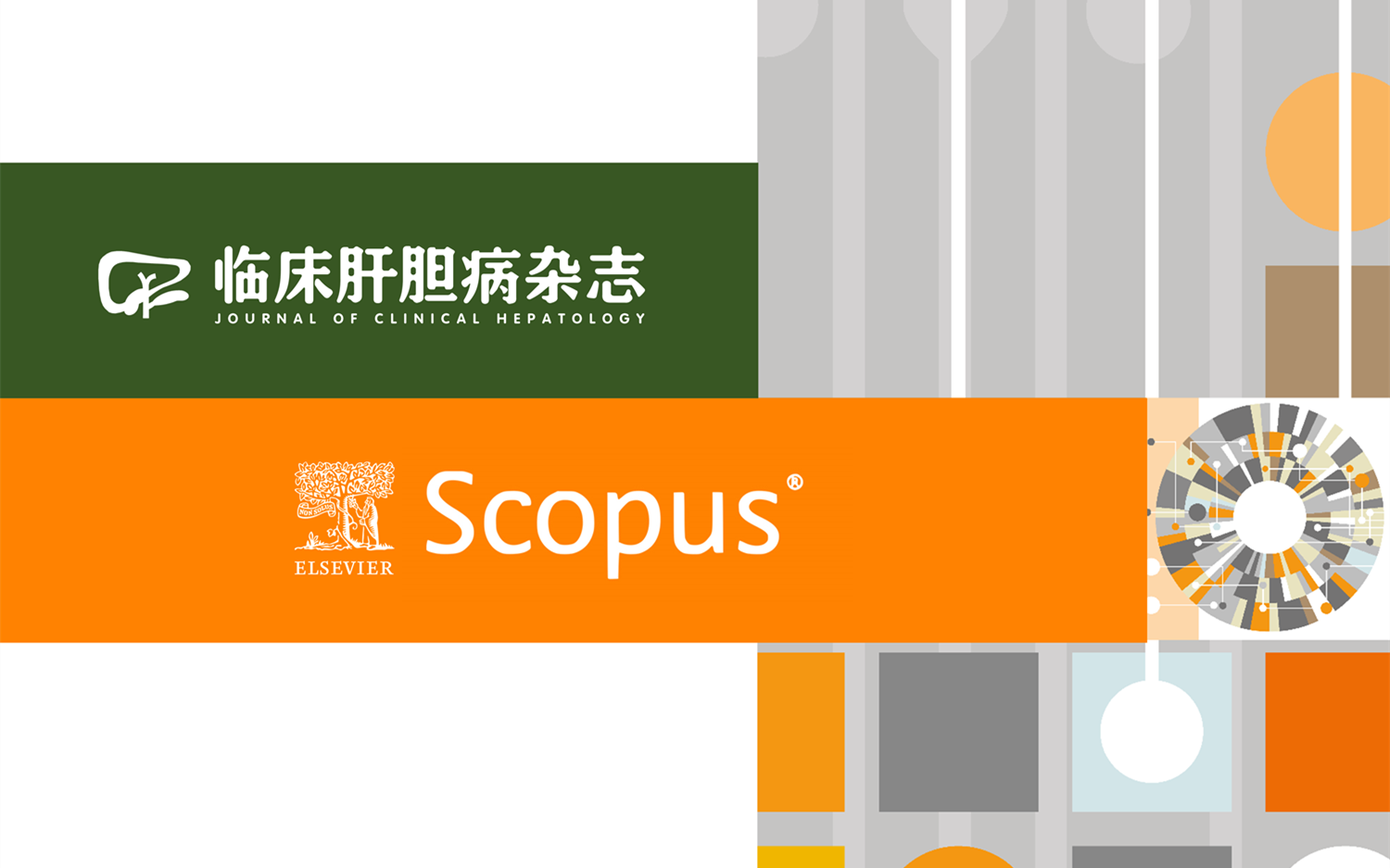 临床肝胆病杂志<span id=