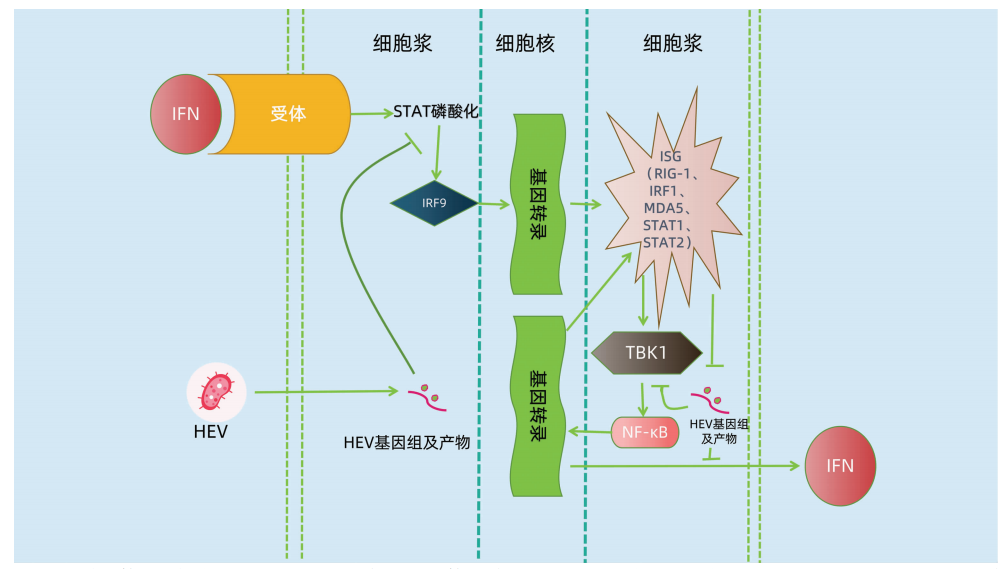 图1.png