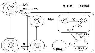 微信图片_20210407144307.jpg
